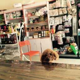 April姐姐的宠物店:福州市仓山区金山公园/建新路附近