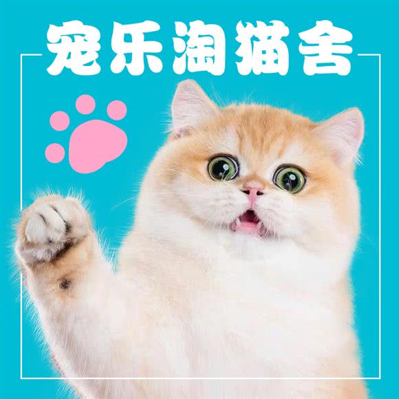 宠乐淘·高端宠物售卖(望京店):北京城区朝阳区望京附近