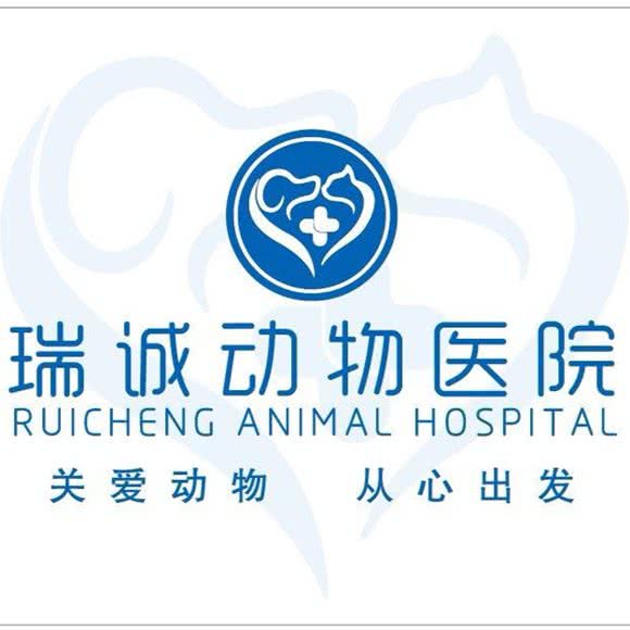 瑞诚动物医院:北京城区大兴区黄村附近