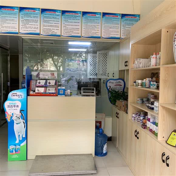 挚爱宠物诊所:福州市仓山区金山浦上工业区附近