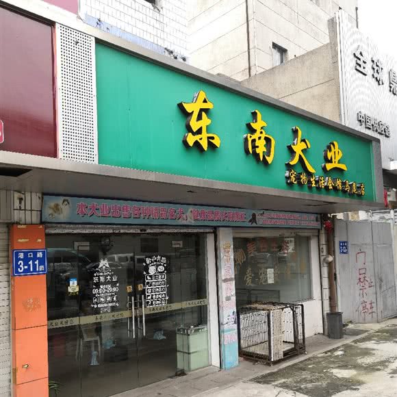 东南犬业宠物生活馆:福州市马尾区马限山公园附近