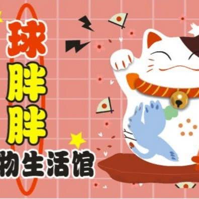 球胖胖宠物生活馆:福州市晋安区东二环泰禾广场附近