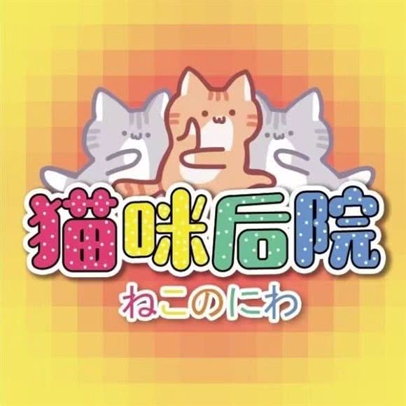 猫咪后院:福州市晋安区东二环泰禾广场附近