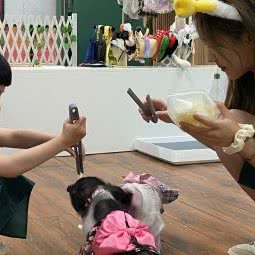 遇见萌宠Nice to meet U:福州市晋安区东二环泰禾广场附近