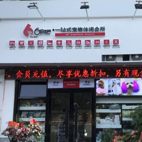 6狗吧宠物休闲会所:福州市晋安区世欧王庄附近
