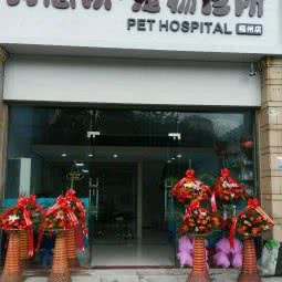 狗崽队宠物医院:福州市晋安区世欧王庄附近