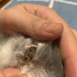 时光宠物(五四北店):福州市晋安区五四北泰禾附近