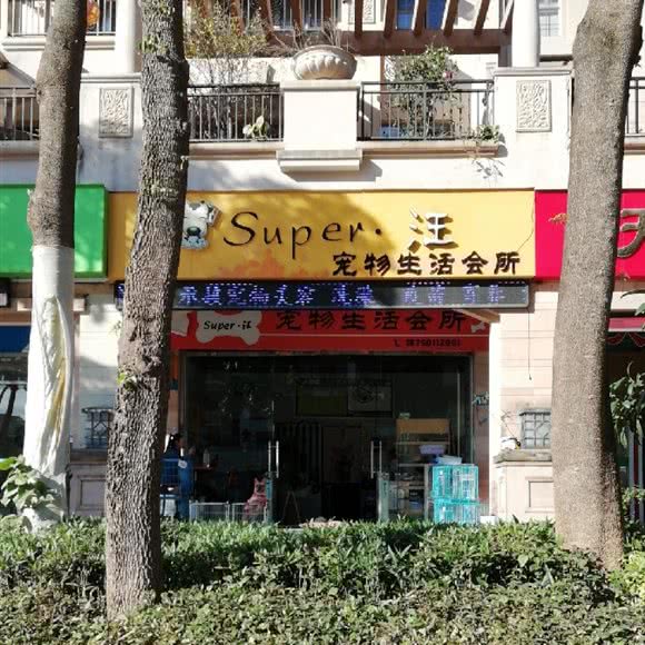 super汪宠物生活会所:福州市晋安区五四北泰禾附近