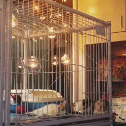 到家爱宠生活馆:福州市晋安区五四北泰禾附近