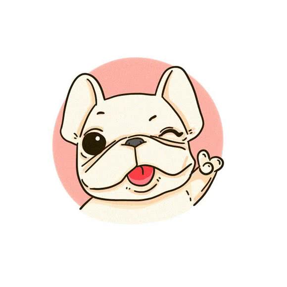 超级汪宠物猫舍生活会所:福州市晋安区五四北泰禾附近