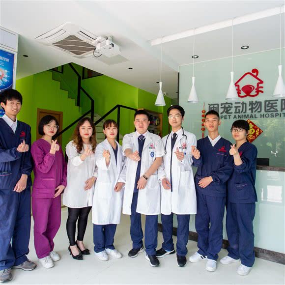 闽宠动物医院:福州市晋安区五四北泰禾附近