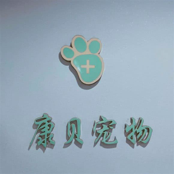 康贝宠物医院(国货店):福州市晋安区紫阳/象园附近