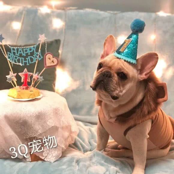 3Q宠物烘培:福州市晋安区福飞路/新店附近