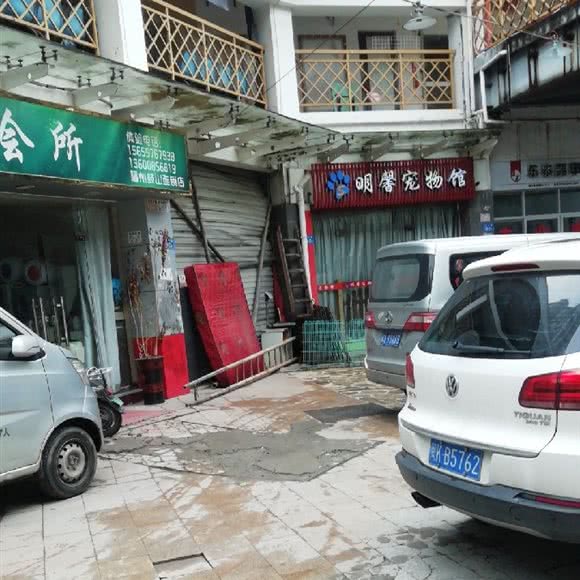 明馨宠物生活馆:福州市晋安区东区/鼓山附近