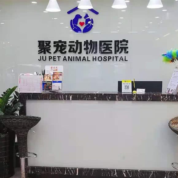 聚宠动物医院骨科·猫科:福州市晋安区东区/鼓山附近