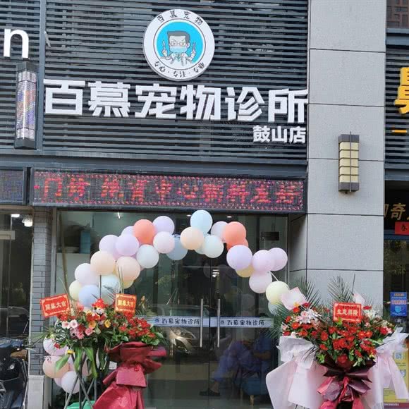 百慕动物诊所(鼓山店):福州市晋安区东区/鼓山附近