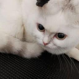 到家宠物生活馆(长乐店):福州市长乐区航城街道附近