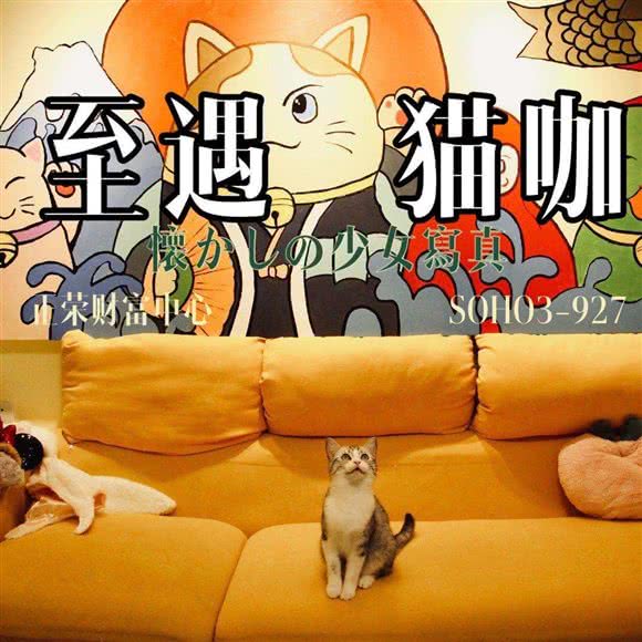 至遇猫咖:福州市闽侯县闽侯县附近