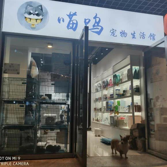 喵呜宠物生活馆:福州市闽侯县闽侯县附近