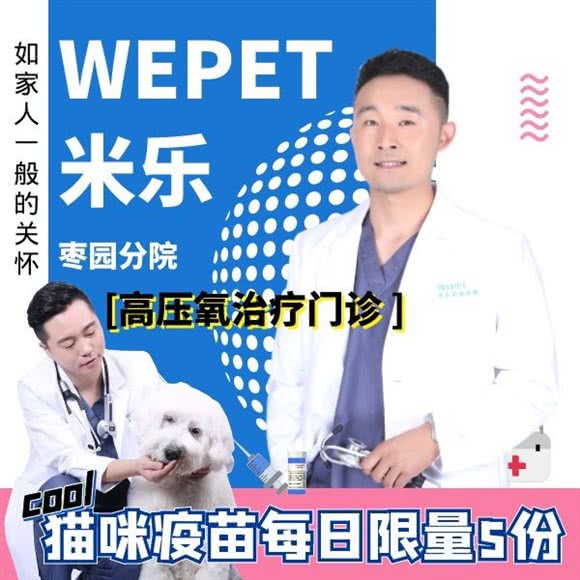 WEPET米乐动物医院:北京城区大兴区黄村附近