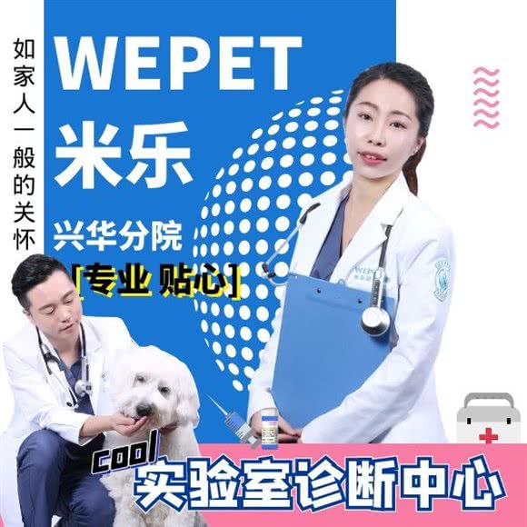 WEPET米乐动物医院(高米店北分院):北京城区大兴区黄村附近