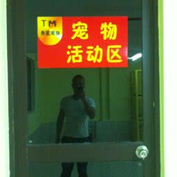 泰蜜宠物(上街分店):福州市闽侯县闽侯县附近