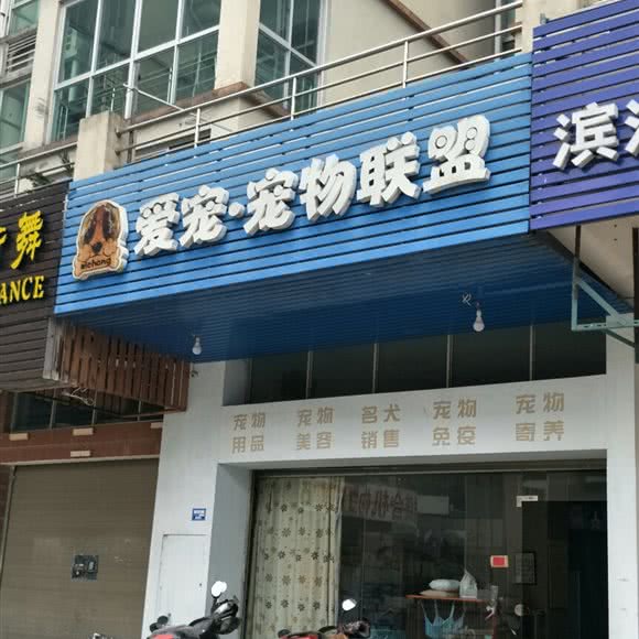 爱宠·宠物联盟:福州市闽侯县闽侯县附近