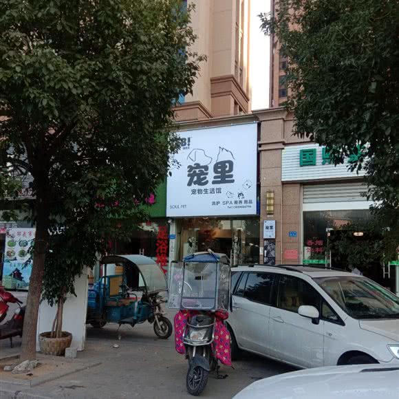 宠里soul pet宠物生活馆:福州市闽侯县闽侯县附近