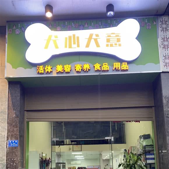 犬心犬意宠物店:福州市闽侯县闽侯县附近