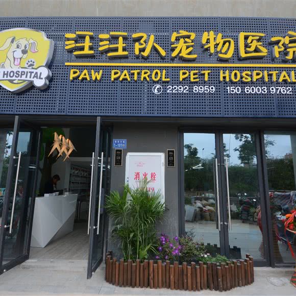 汪汪队宠物医院:福州市闽侯县闽侯县附近
