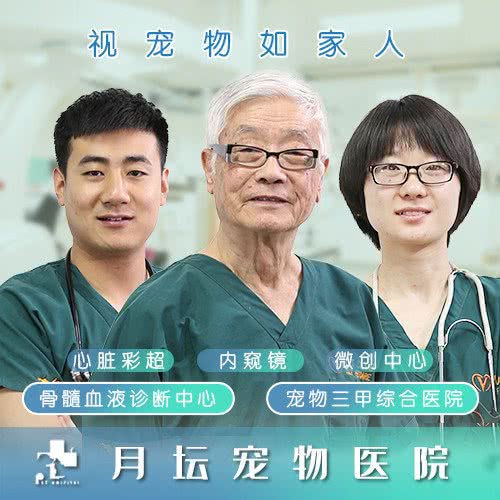 月坛宠物医院(贝珍爱犬猫专科分院):北京城区大兴区黄村附近