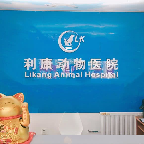 利康动物医院:北京城区大兴区黄村附近