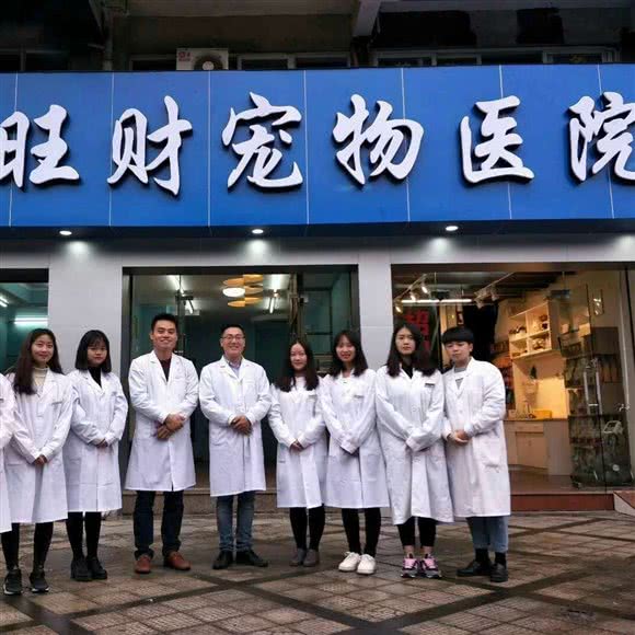 旺财宠物医院:福州市福清市音西街道附近