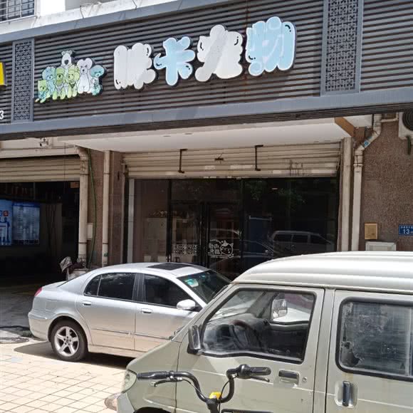 咪卡宠物:厦门市思明区环岛路沿线附近