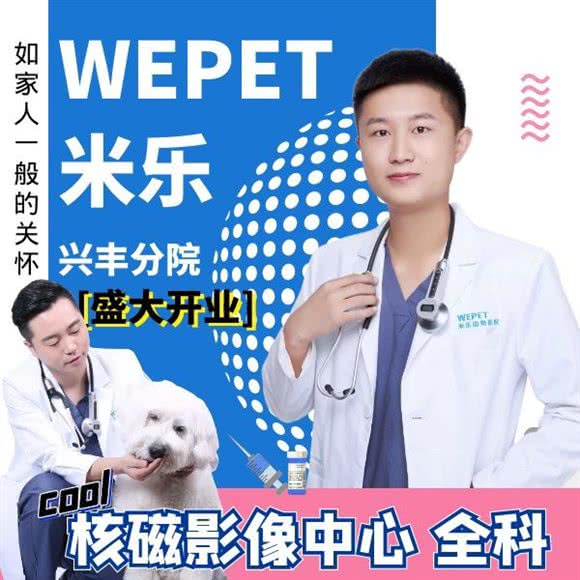 WEPET米乐动物医院(兴丰分院):北京城区大兴区黄村附近