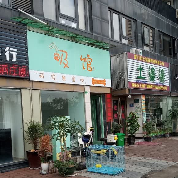 吸馆萌宠聚集地:厦门市思明区环岛路沿线附近