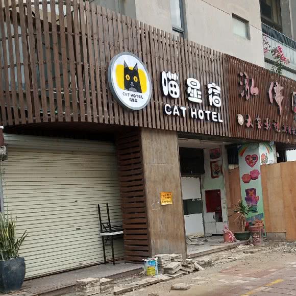 喵星宿:厦门市思明区环岛路沿线附近