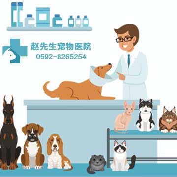 赵先生宠物医院(家宝乐莲前店):厦门市思明区环岛路沿线附近