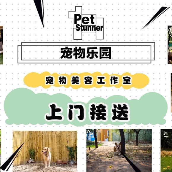 stunner狗狗美容工作室:北京城区大兴区旧宫附近