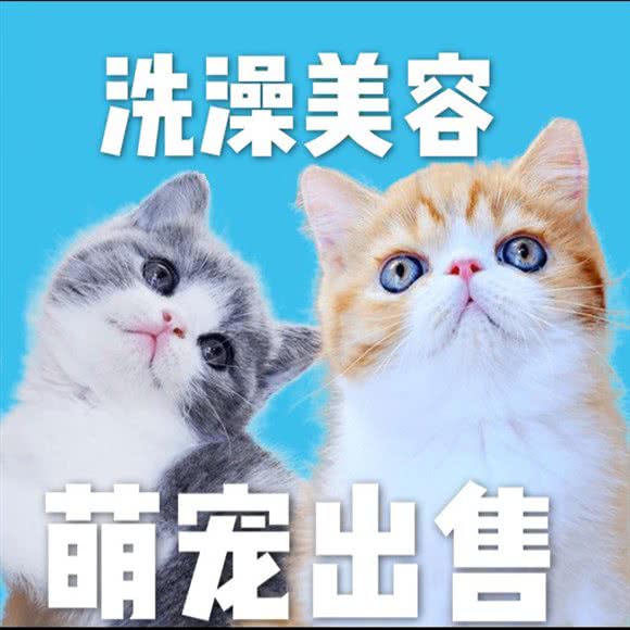 宠多多·宠物(萌宠售卖店):厦门市思明区体育中心附近