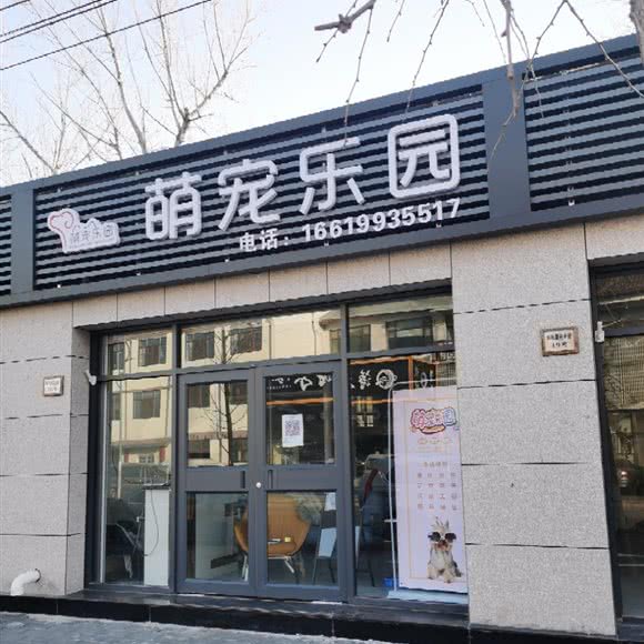 萌宠乐园:北京城区大兴区旧宫附近