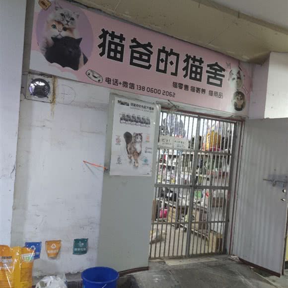 猫爸的猫舍:厦门市思明区莲坂/明发商业广场附近