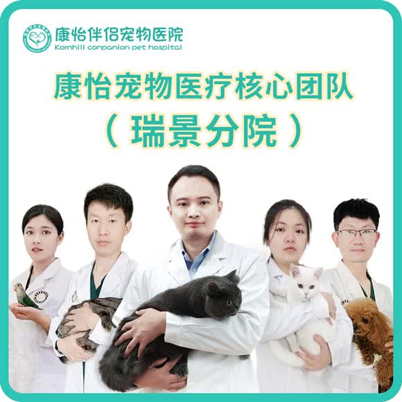 康怡伴侣宠物医院(瑞景犬猫医疗中心):厦门市思明区瑞景商业广场附近