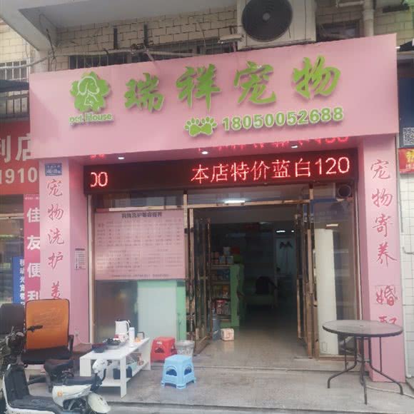 瑞祥宠物:厦门市思明区曾厝垵附近