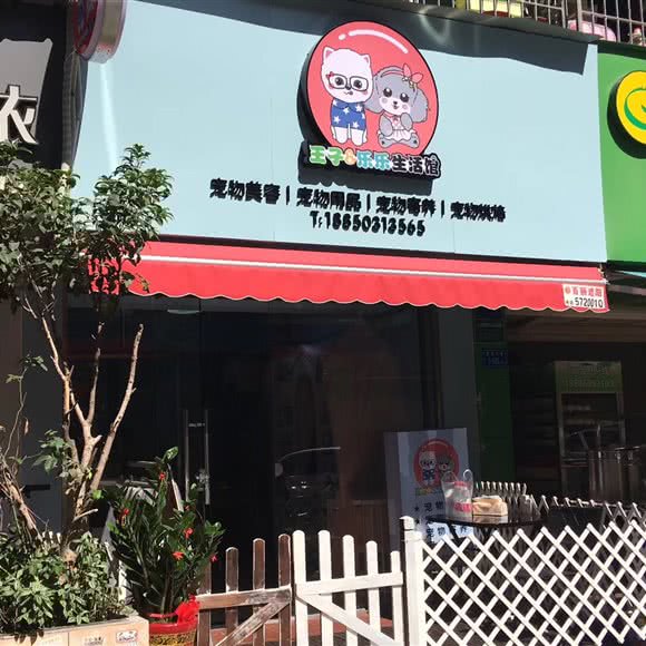 糖果派宠物:厦门市思明区嘉禾路附近