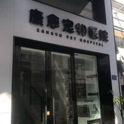 康愈宠物诊所(明发商业广场店):厦门市思明区嘉禾路附近
