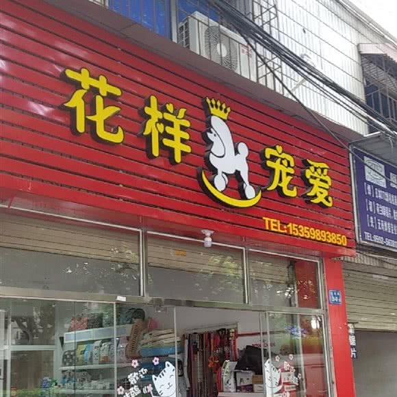 花样宠爱:厦门市思明区湖里公园附近