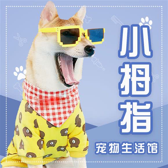 小拇指宠物生活馆(德贤公馆店):北京城区大兴区旧宫附近