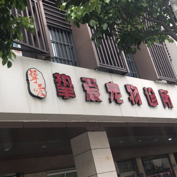 挚爱宠物诊所:厦门市思明区湖里公园附近