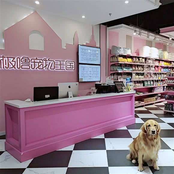 极极噜宠物狗王国:厦门市思明区火车站附近